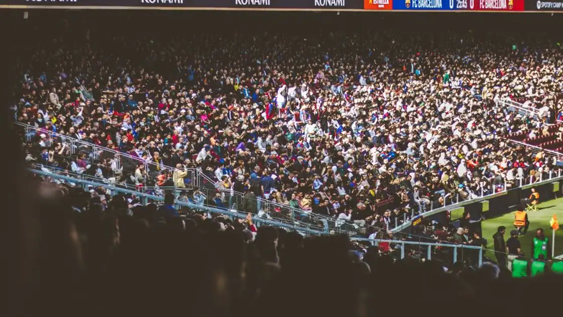 Sportsbook Payment Software | Sudonex.com